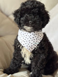 Cute Bat DOG bandana REVERSIBLE
