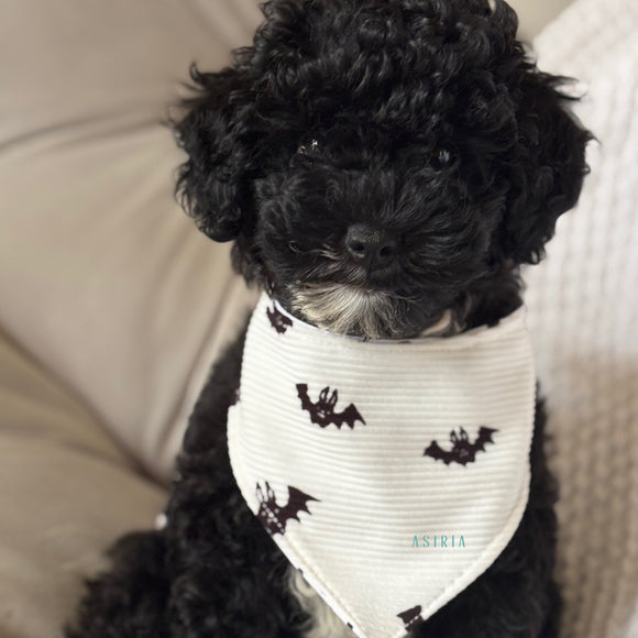 Cute Bat DOG bandana REVERSIBLE