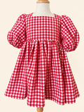 Red Gingham  Penelope Dress